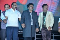Lion Kiran birthday Celebrations at Hi Life Pub